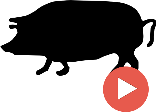 Pork Videos - Pig Silhouette Clip Art (512x512)