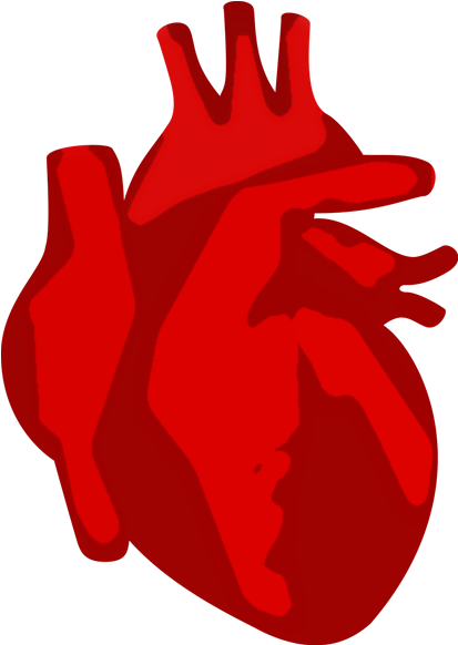 The Studio, We Love Web Design, Graphic Design, Photography, - Heart Graphic Design Real (920x581)