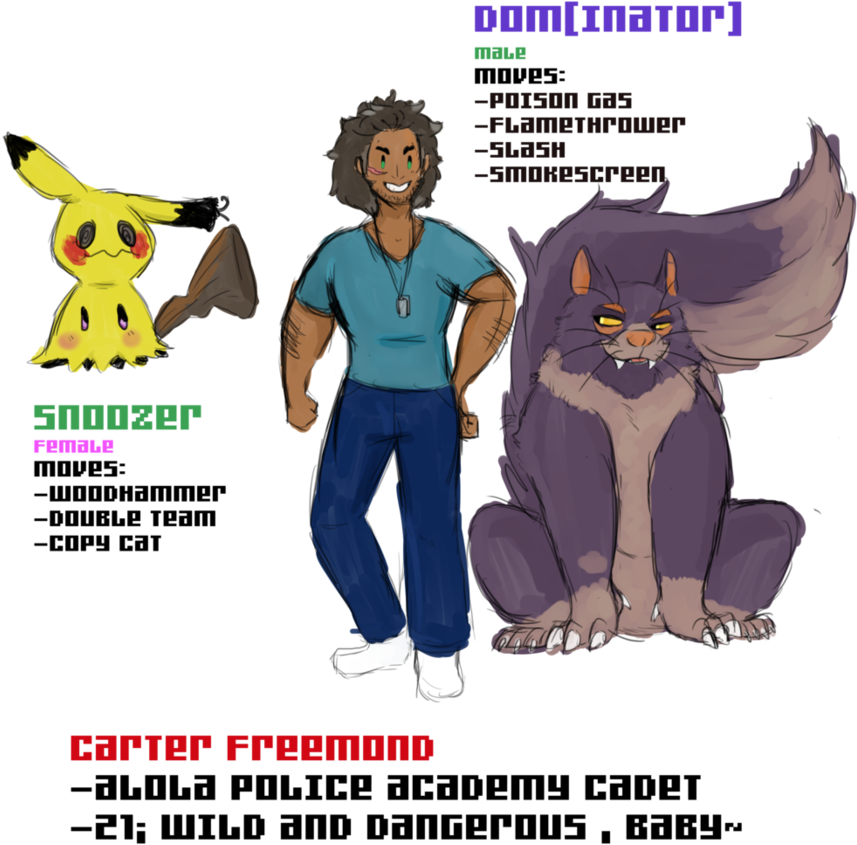 Alola Police Cadet By Hojitsu - Cartoon (894x894)