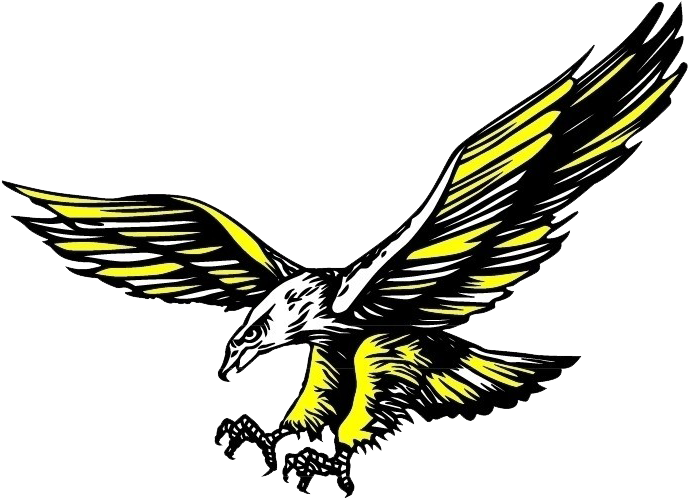Hawk Icon - Cartoon Eagle - Hawk Icon - Cartoon Eagle (763x554)