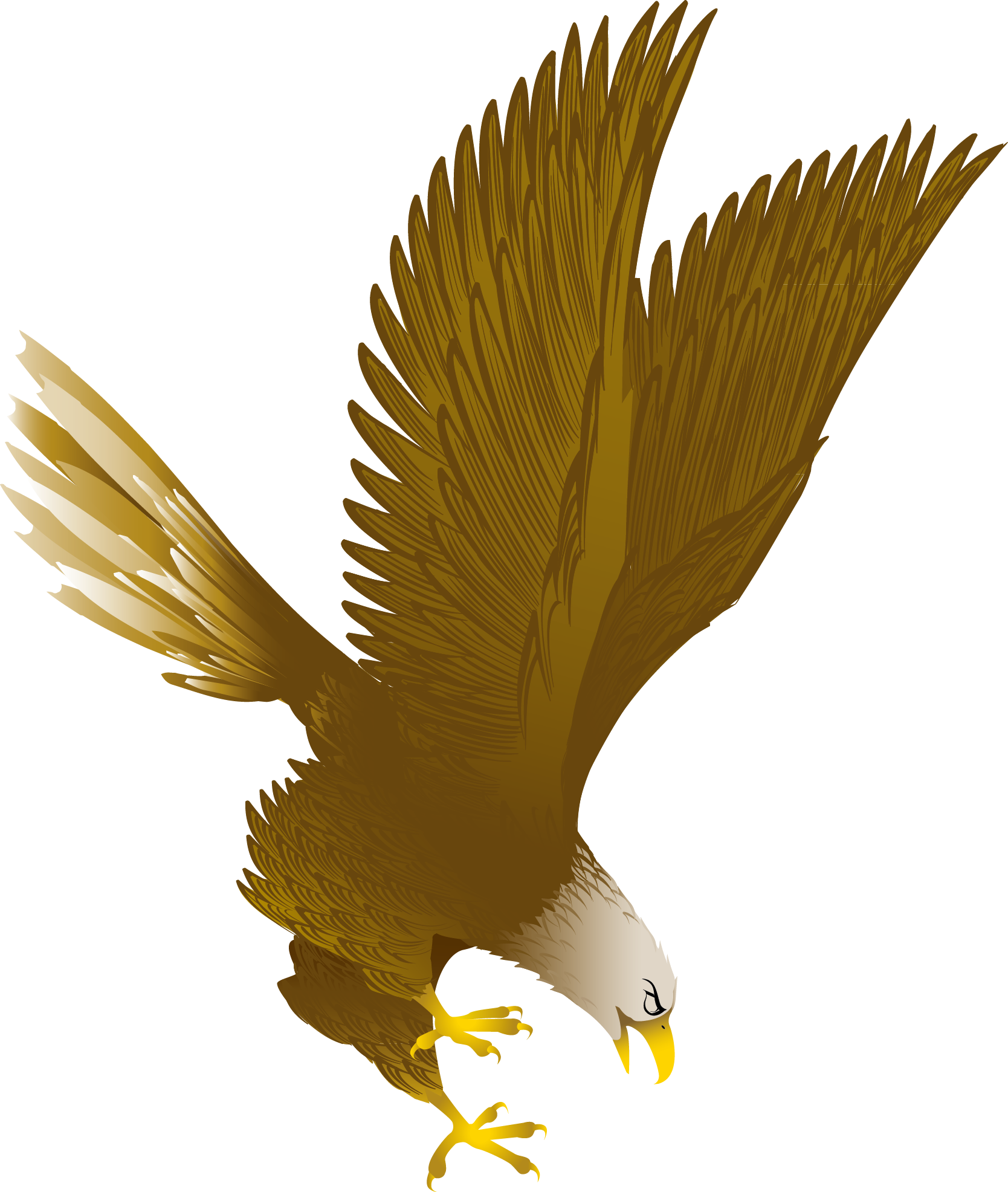 Bald Eagle Clip Art - Bald Eagle Clip Art (1668x1972)
