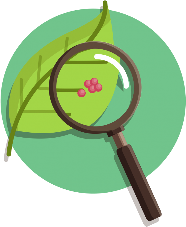 Nature Vs Nurture Debate Essay Articles To Pdf 12 Nature - Nature Vs Nurture Transparent (830x830)