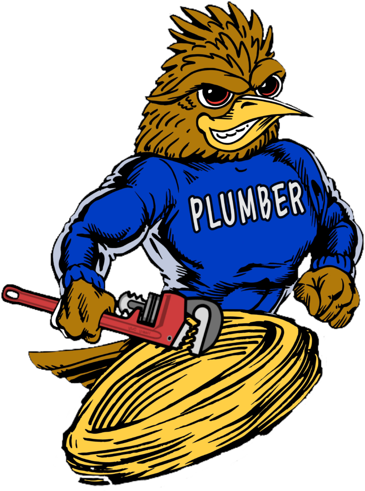 Roadrunner Plumber Plumbing, Drain Cleaning, Video - Canyon Lake High School (770x1024)