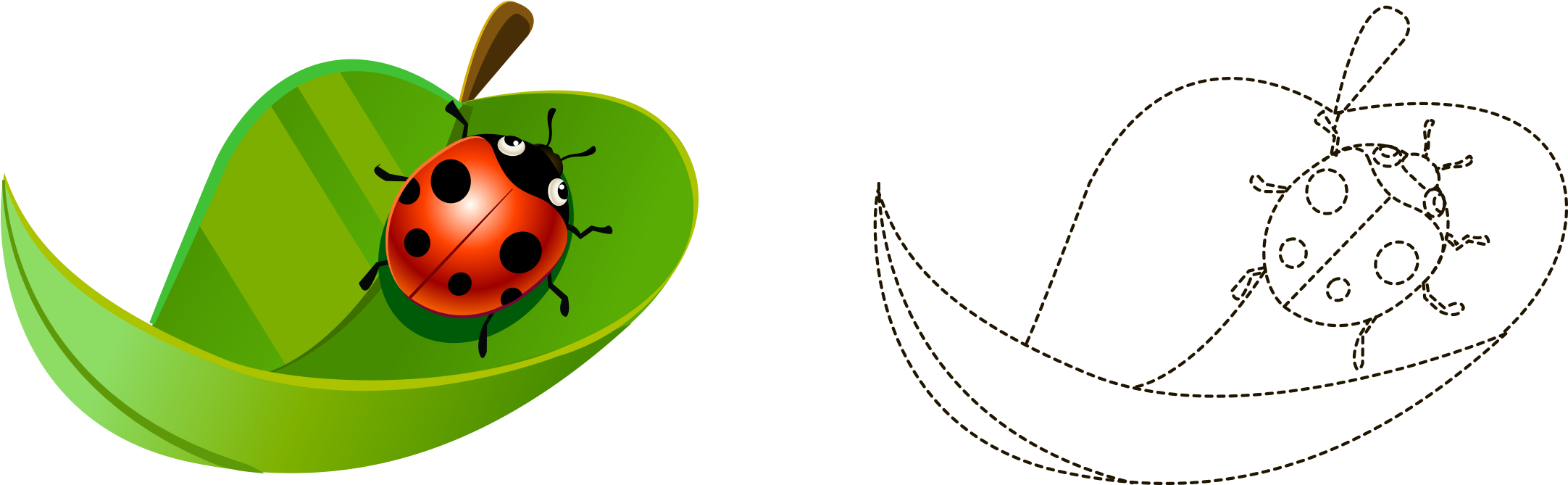 Cartoon Painted Leaves Ladybird Artwork - Ladybird Beetle (2608x1242)