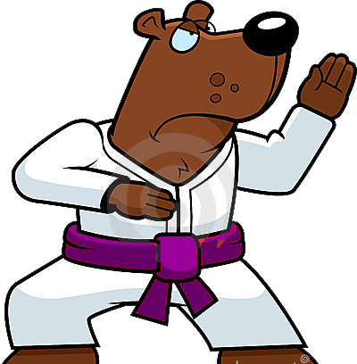 Purple Belt Karate - Doing Karate (400x408)