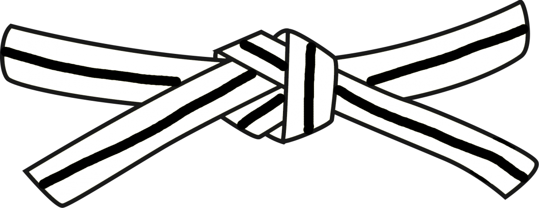 Martial Arts 2nd White Belt - Jiu Jitsu White Belt (1080x417)