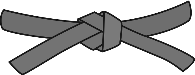 320 × 124 Pixels - Jiu Jitsu Blue Belt (1280x497)