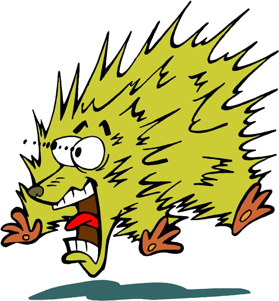 Hedgehog Cartoon Clip Art - Hedgehog Cartoon Clip Art (878x1035)