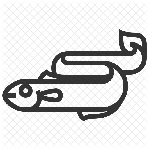 Eel Icon - Icon (512x512)