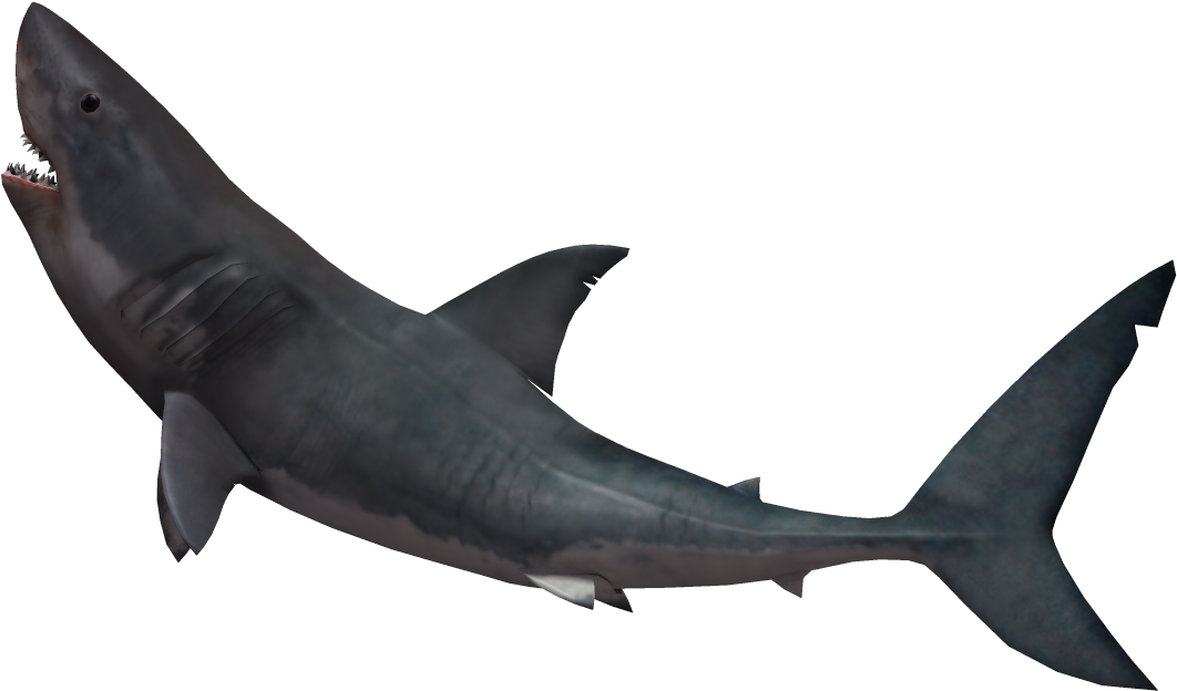 Shark Fin Soup Great White Shark Clip Art - Shark Fin Soup Great White Shark Clip Art (1200x749)