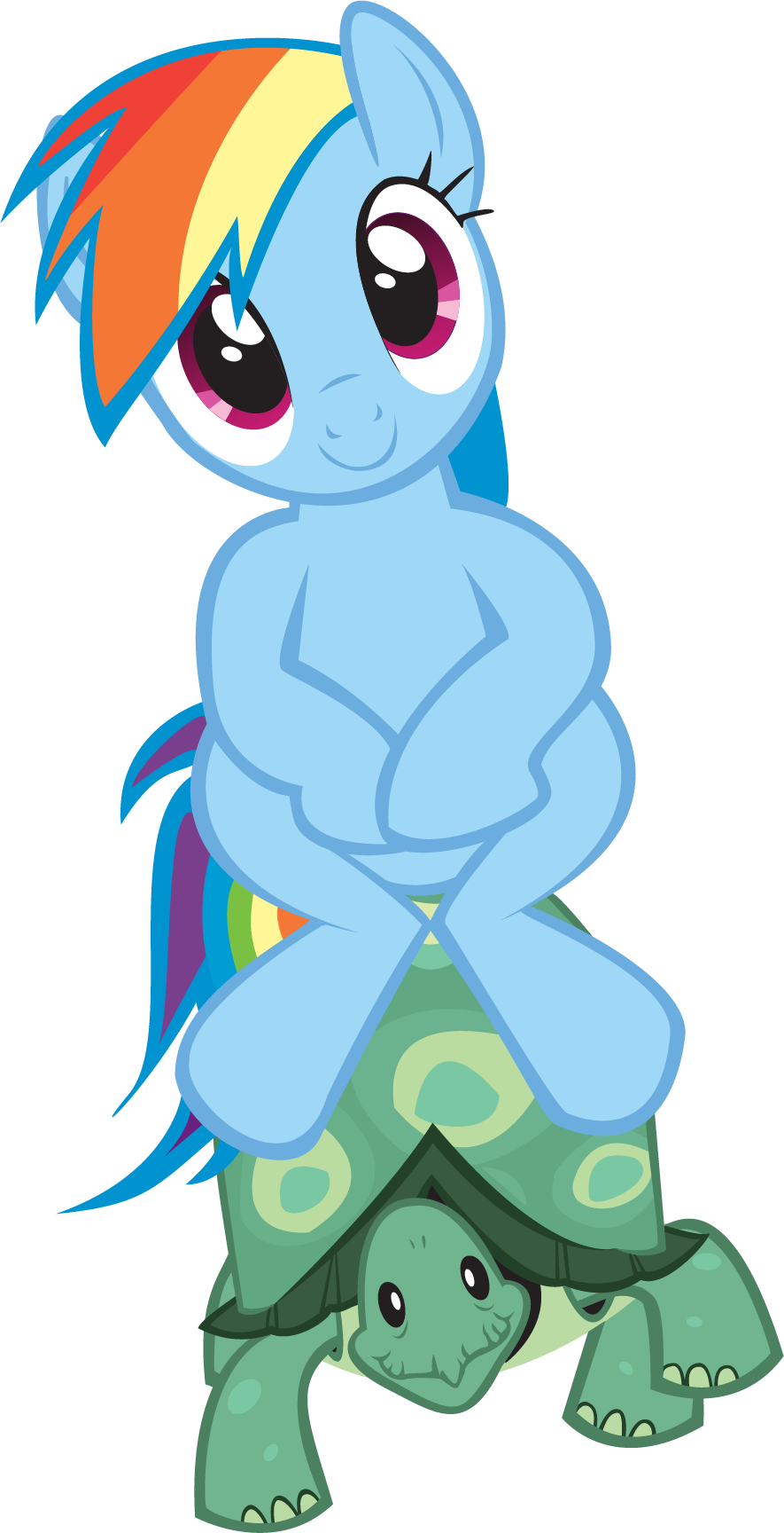 Mlp Rainbow Dash - My Little Pony Rainbow Dash's Pet (885x1728)