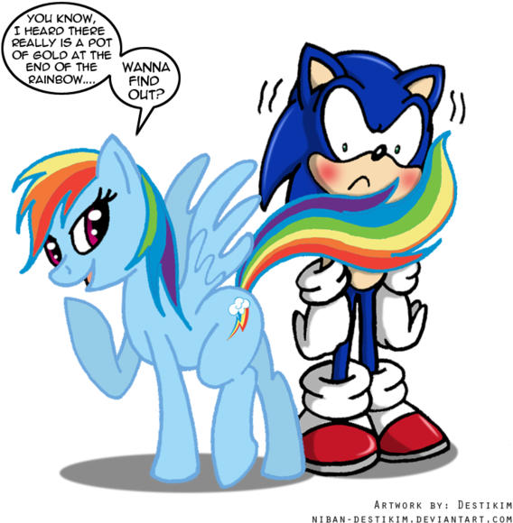 Sonic Team By Niban-destikim - Rainbow Dash X Sonic (600x589)