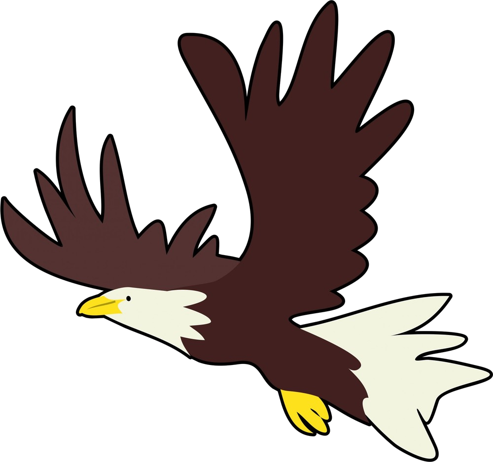 Bald Eagle Clip Art - Bald Eagle Clip Art (1000x938)