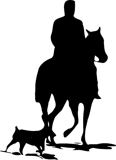 People Men And Dogs - Horse Silhouette (466x640)