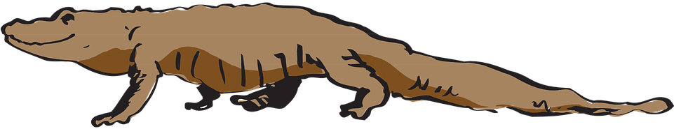 Brown Alligator Clipart, Explore Pictures - Vector Graphics (960x480)