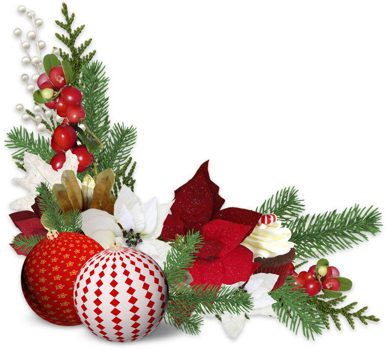 0 F147c Cccea481 Xl - Christmas Ornament (800x800)