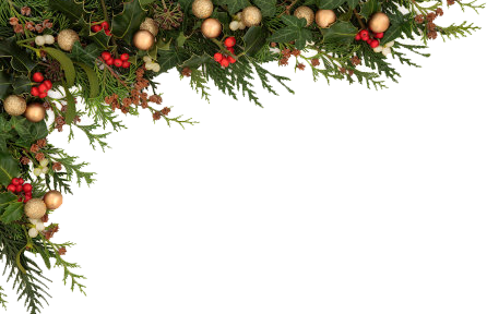 Christmas Border Png - Christmas Border Png Transparent (446x288)