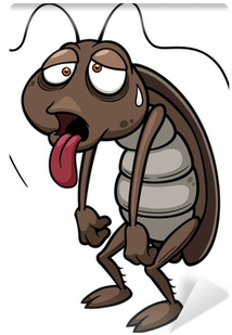 Vector Illustration Of Cartoon Cockroach Wall Mural - Cockroach Animation (400x400)