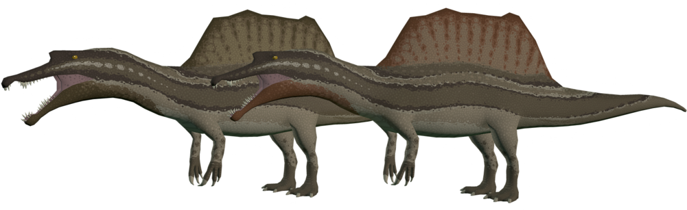 Spinosaurus Tribute - American Alligator (1024x312)