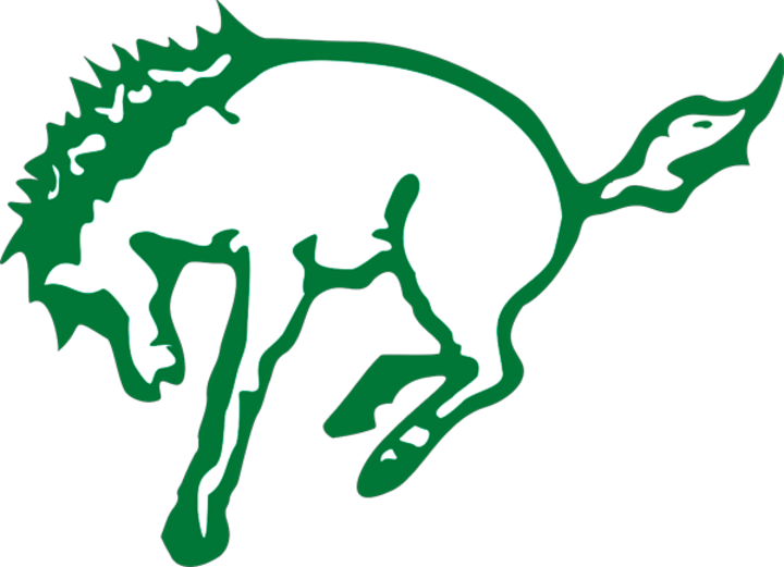 Estadio Universitario Alberto "chivo" Córdoba (720x521)