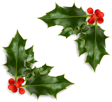 Ist2 4713662 Christmas Holly Corner Photo By Italia - Snowflake Earrings Silver Plated Studs (380x345)