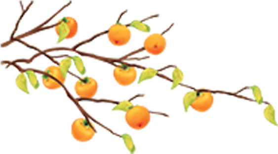 Cartoon Fruit Tree Tangerine - Cartoon Fruit Tree Tangerine (842x595)