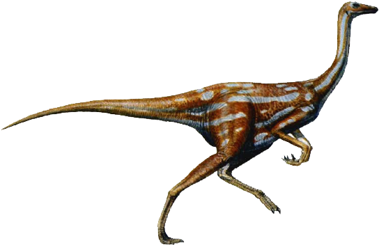 Dinosaur Png - Ornithomimus Dinosaur (566x368)