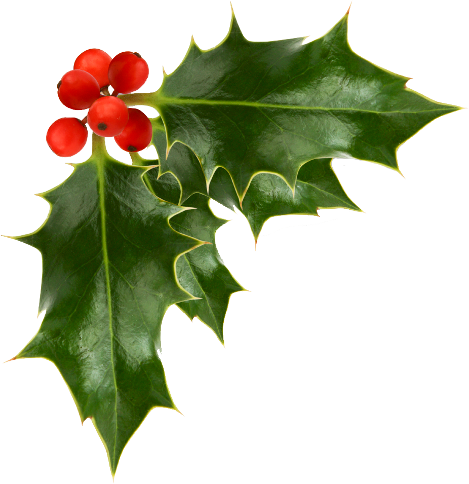 Editors Choice Newsletter - Snowflake Earrings Silver Plated Studs (925x974)