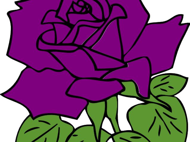 Purple Rose Clipart Puple - Rose Clip Art (640x480)