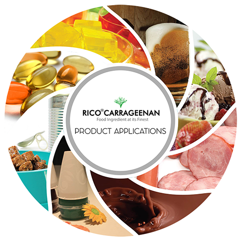 Rico Carrageenan Product Applications - Ice Cream In A Bowl (511x501)