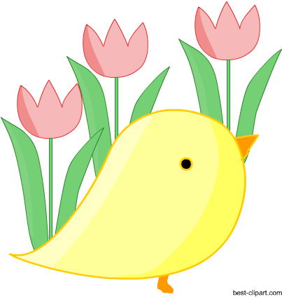Easter Chick And Tulips, Free Clip Art - Clip Art (450x450)