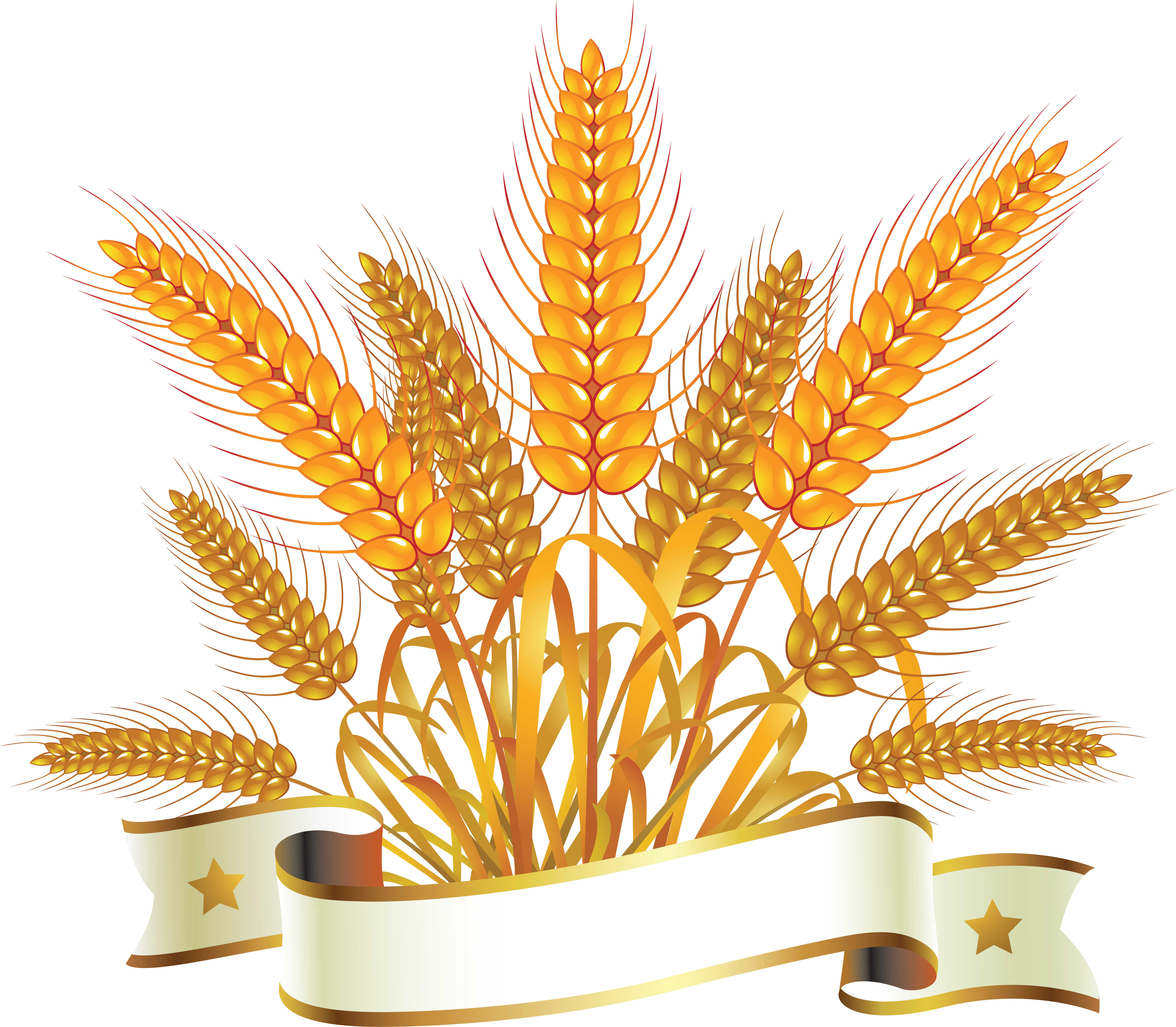 Wheat Png - Spighe Di Grano E Pane (6034x5281)