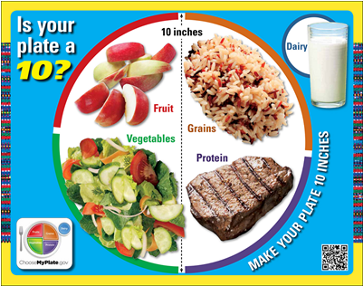 Myplate (400x514)