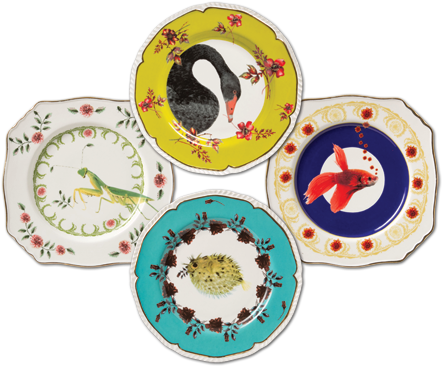 Plates Designed By Lou Rota For Anthropologie - Lou Rota Nature Table (465x391)