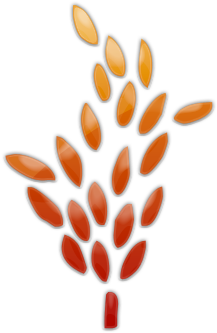 Single Clipart Wheat Grain - Grains Of Wheat Clipart (420x420)