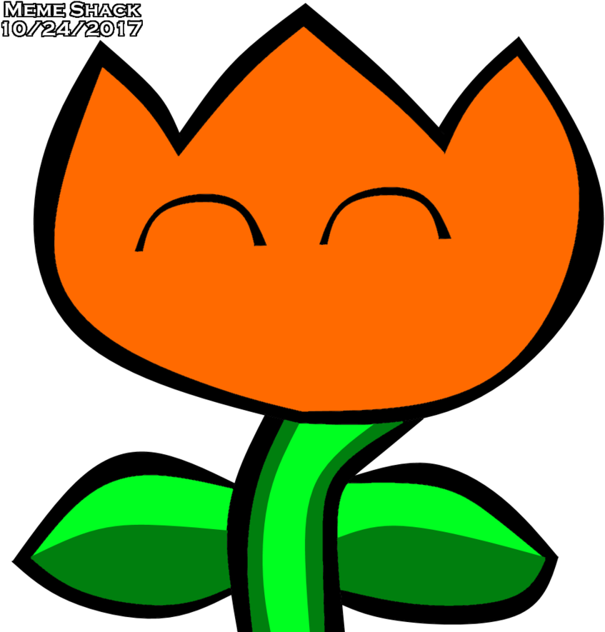 Fire Flower By Meme-shack - 7 Dimensions Of Wellness (894x894)