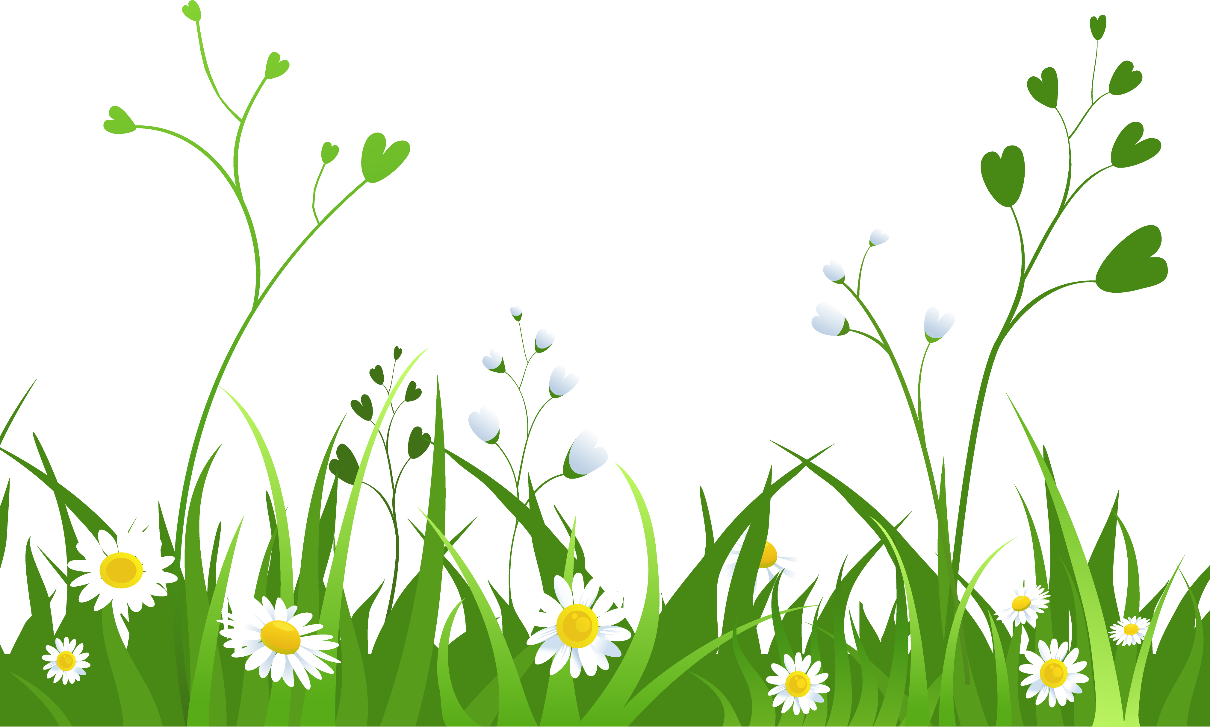 Download - Grass Background Clipart (4039x2482)
