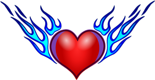 What Is An Echocardiogram - Draw A Heart With Wings (514x276)