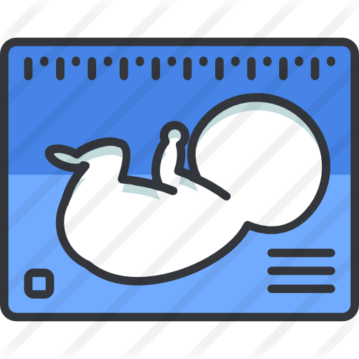 Ultrasound - Pregnancy (512x512)