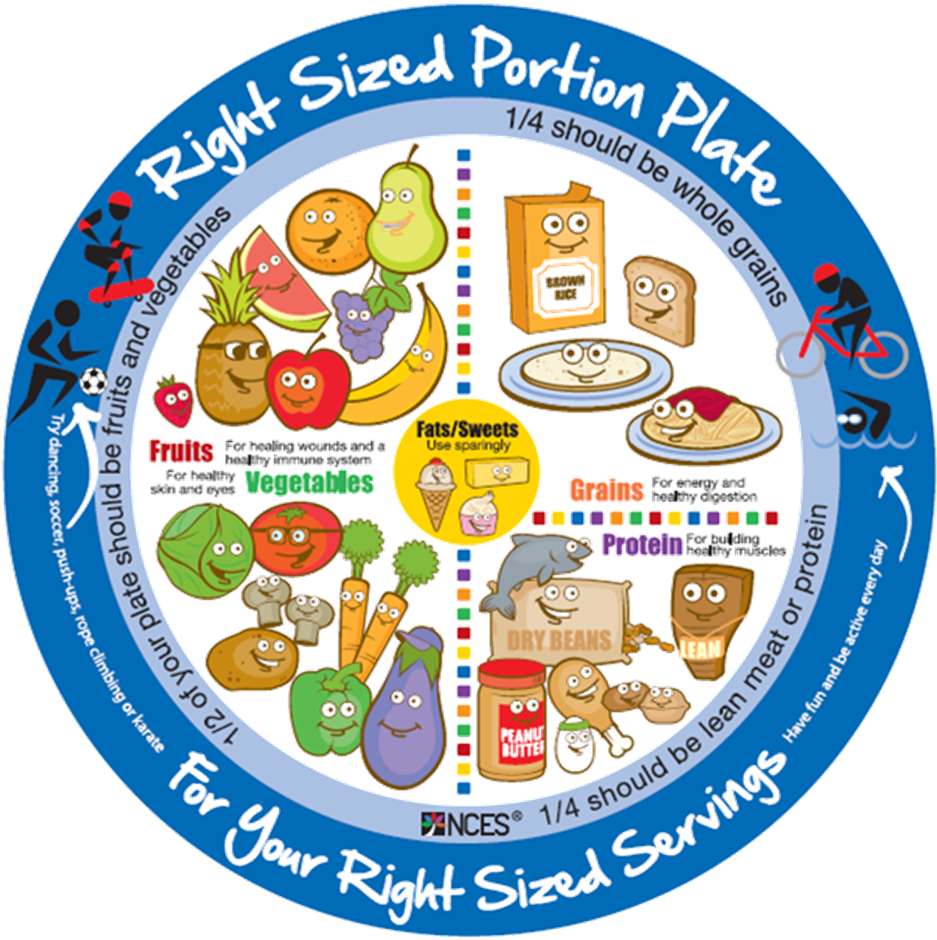 Kids Portion Plate - Adult Right Sized Portion Plate (964x952)