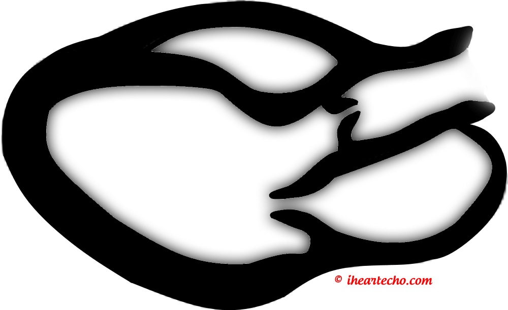 Exam Questions And Answers Are Rotated And Randomized - Exam Questions And Answers Are Rotated And Randomized (1000x611)