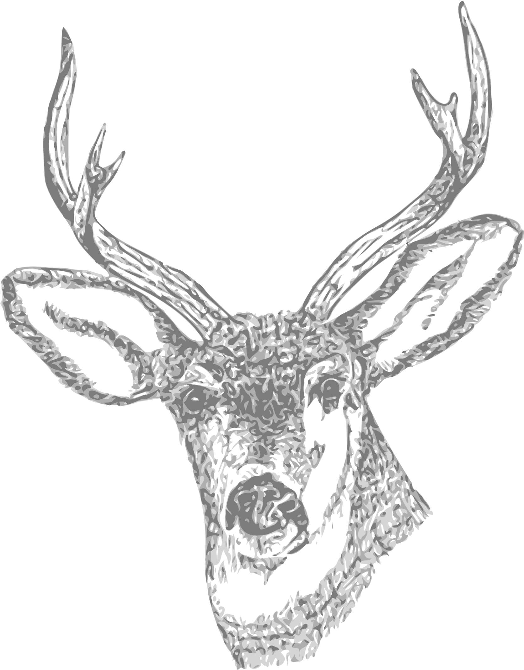Ryanlerch Deer Head Bclipart - Deer Png (2962x2400)