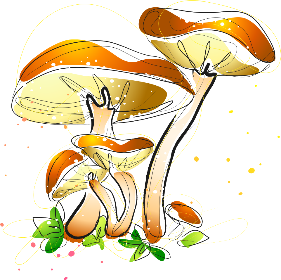 Watercolor Painting Mushroom Fungus Illustration - Watercolor Painting Mushroom Fungus Illustration (1181x1181)