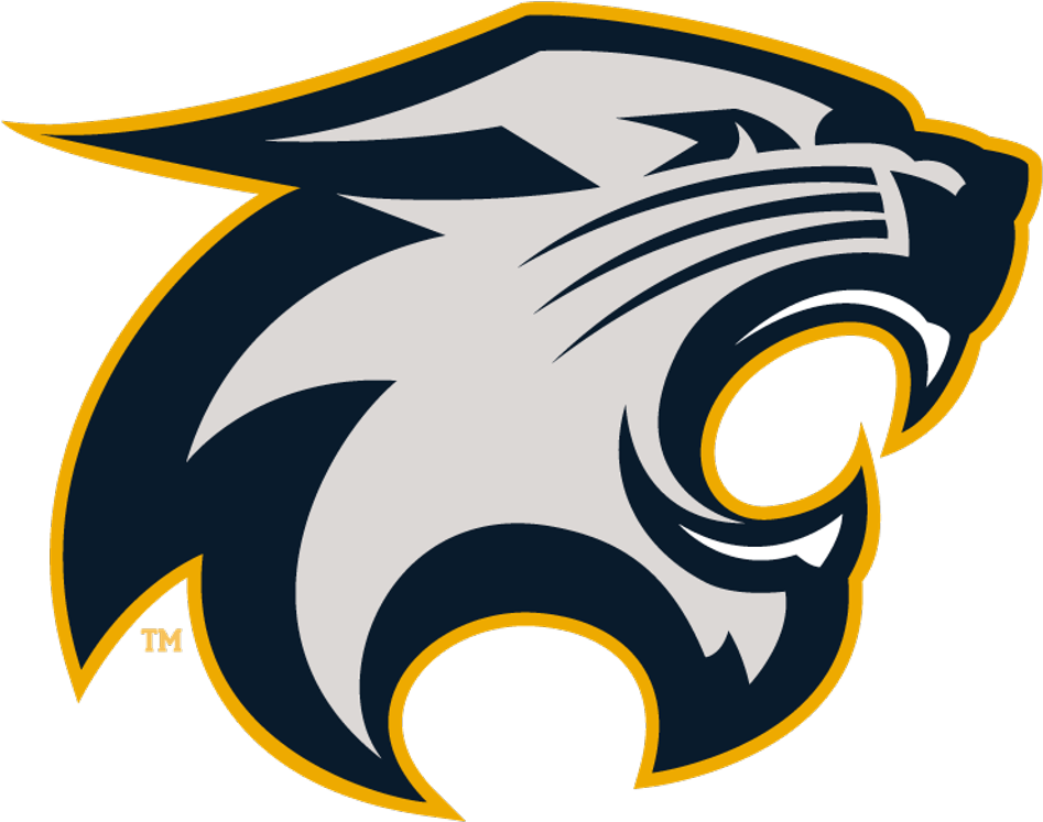 River Falls Wildcats Logo (1024x768)