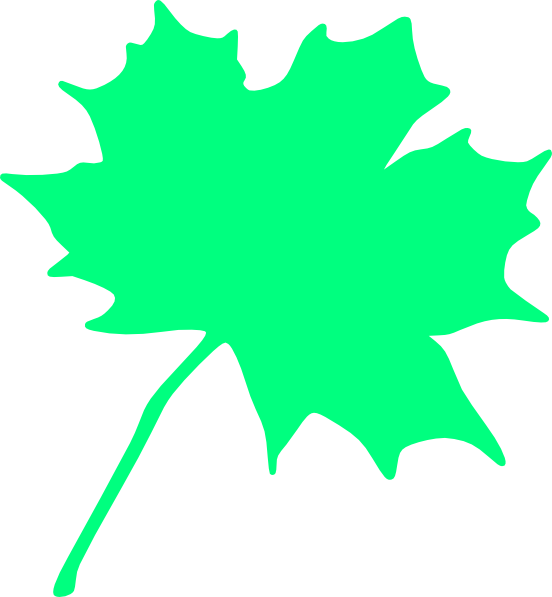 Maple Tree Bit Clip Art At Clker - Maple Leaf Clip Art (552x597)