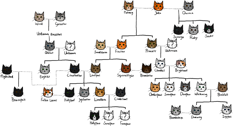 The Gallery For > Warrior Cat Spottedleaf - Brambleclaw Family Tree (1024x554)