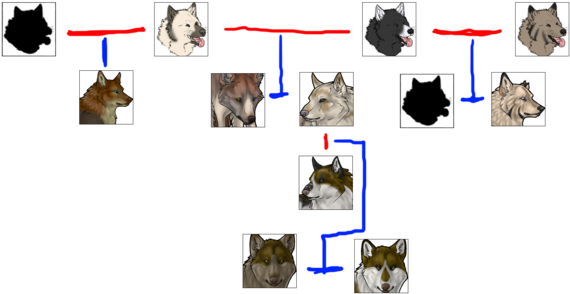 Wolf Family Tree - Domestic Short-haired Cat (600x319)