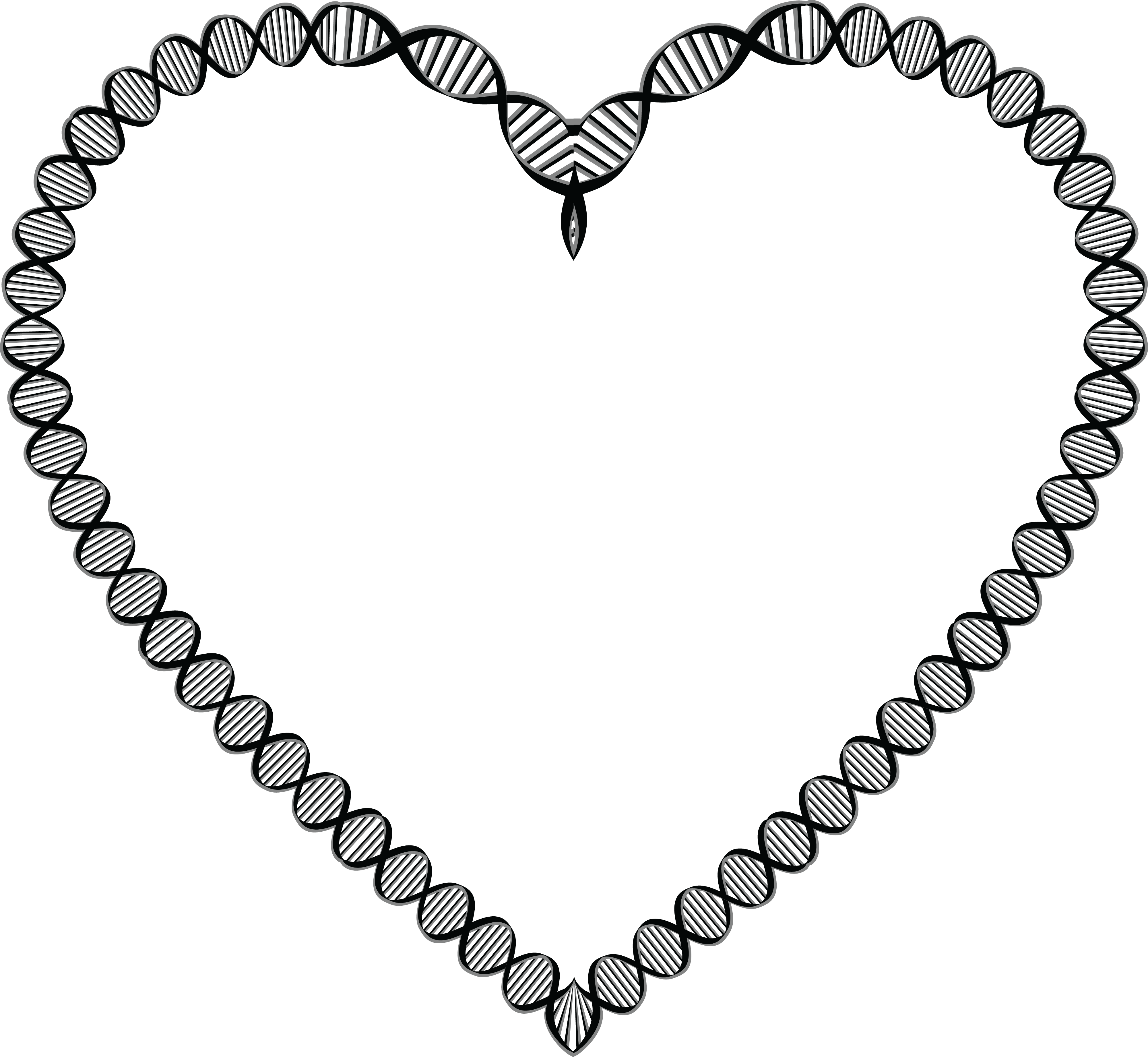Free Clipart Of A Dna Double Helix Strand Heart Frame - Heart Frame In Black (4000x3682)