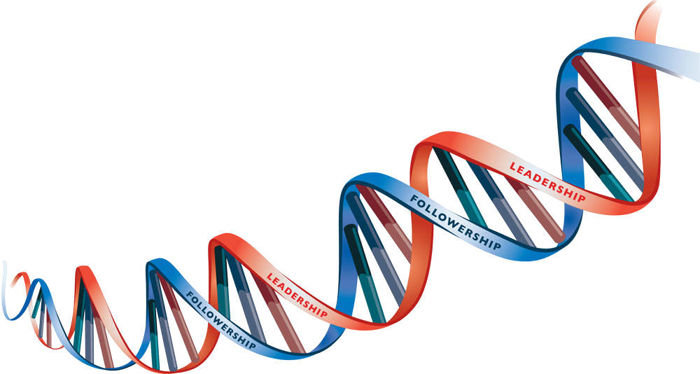 Free Business Energy Dna Strand Png - Dna Vector Png (1000x534)