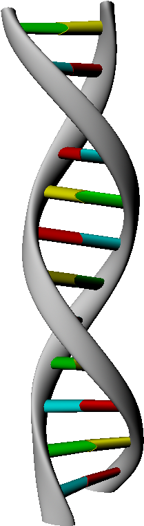 3d Dna Strand Rendering - Headband (1440x810)